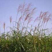 ヒメ日記 2025/10/21 18:16 投稿 夢倉さわ コウテイ