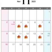 ヒメ日記 2025/10/29 13:17 投稿 夢倉さわ コウテイ