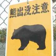 ヒメ日記 2025/11/07 10:21 投稿 夢倉さわ コウテイ