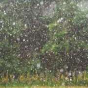 ヒメ日記 2025/11/09 09:45 投稿 夢倉さわ コウテイ