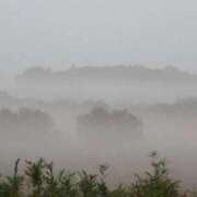 ヒメ日記 2025/11/27 09:17 投稿 夢倉さわ コウテイ