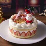 ヒメ日記 2025/12/25 12:25 投稿 夢倉さわ コウテイ