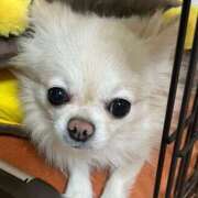 ヒメ日記 2026/01/21 12:07 投稿 夢倉さわ コウテイ