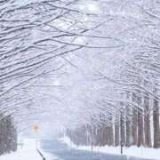 ヒメ日記 2026/01/22 09:32 投稿 夢倉さわ コウテイ