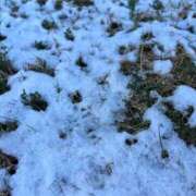 ヒメ日記 2026/01/23 10:06 投稿 夢倉さわ コウテイ