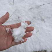 ヒメ日記 2026/02/08 15:45 投稿 夢倉さわ コウテイ