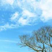 ヒメ日記 2026/02/17 11:40 投稿 夢倉さわ コウテイ