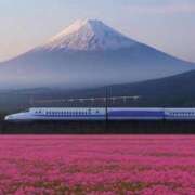 ヒメ日記 2026/02/27 01:05 投稿 夢倉さわ コウテイ