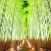 ヒメ日記 2026/02/27 08:15 投稿 夢倉さわ コウテイ