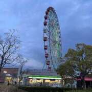 ヒメ日記 2026/03/04 17:35 投稿 夢倉さわ コウテイ