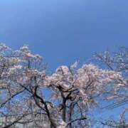 ヒメ日記 2026/03/31 09:27 投稿 夢倉さわ コウテイ