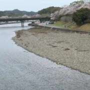 ヒメ日記 2026/04/08 16:25 投稿 夢倉さわ コウテイ