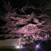ヒメ日記 2026/04/13 00:07 投稿 夢倉さわ コウテイ