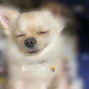 ヒメ日記 2026/04/18 21:41 投稿 夢倉さわ コウテイ