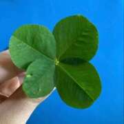 ヒメ日記 2026/04/24 12:05 投稿 夢倉さわ コウテイ