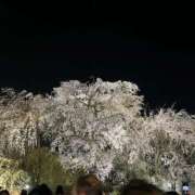 ヒメ日記 2026/04/24 12:17 投稿 夢倉さわ コウテイ