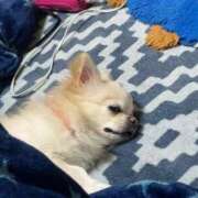 ヒメ日記 2026/04/26 14:00 投稿 夢倉さわ コウテイ