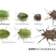 ヒメ日記 2026/06/20 02:45 投稿 夢倉さわ コウテイ