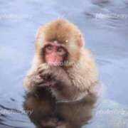 ヒメ日記 2026/06/21 23:02 投稿 夢倉さわ コウテイ