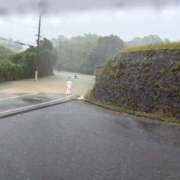 ヒメ日記 2026/06/26 10:33 投稿 夢倉さわ コウテイ