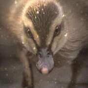 ヒメ日記 2026/07/08 16:38 投稿 夢倉さわ コウテイ