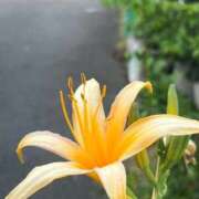 ヒメ日記 2026/09/13 23:38 投稿 夢倉さわ コウテイ