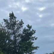 ヒメ日記 2026/09/18 03:25 投稿 夢倉さわ コウテイ