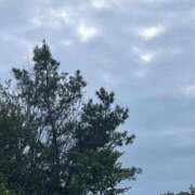 ヒメ日記 2026/09/23 09:55 投稿 夢倉さわ コウテイ