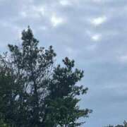 夢倉さわ こんにちは☀️ コウテイ