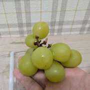 ヒメ日記 2025/10/01 08:36 投稿 あき 沼津人妻花壇