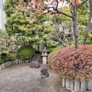 ヒメ日記 2025/03/11 12:06 投稿 はな 横浜人妻セレブリティ（ユメオト）