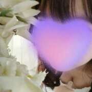 ヒメ日記 2025/03/26 10:14 投稿 はな 横浜人妻セレブリティ（ユメオト）