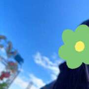 ヒメ日記 2025/03/27 11:03 投稿 はな 横浜人妻セレブリティ（ユメオト）