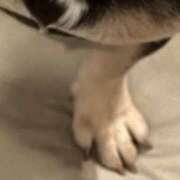 ヒメ日記 2025/04/18 17:08 投稿 はな 横浜人妻セレブリティ（ユメオト）