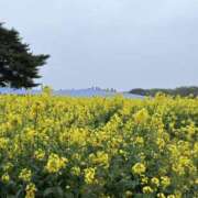 ヒメ日記 2025/04/24 08:45 投稿 はな 横浜人妻セレブリティ（ユメオト）