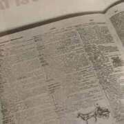 ヒメ日記 2025/05/08 16:40 投稿 はな 横浜人妻セレブリティ（ユメオト）