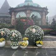 ヒメ日記 2025/06/13 09:24 投稿 はな 横浜人妻セレブリティ（ユメオト）