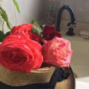 ヒメ日記 2025/07/13 18:10 投稿 はな 横浜人妻セレブリティ（ユメオト）