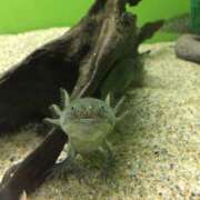 ヒメ日記 2025/07/14 18:05 投稿 はな 横浜人妻セレブリティ（ユメオト）