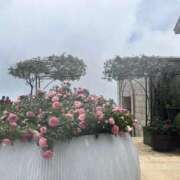 ヒメ日記 2025/07/30 23:02 投稿 はな 横浜人妻セレブリティ（ユメオト）