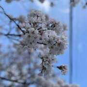 ヒメ日記 2025/04/10 15:56 投稿 すず 京都痴女性感フェチ倶楽部