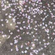 ヒメ日記 2025/04/14 20:24 投稿 すず 京都痴女性感フェチ倶楽部