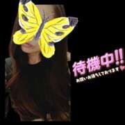 ヒメ日記 2025/02/18 16:18 投稿 あやせ 錦糸町人妻セレブリティ（ユメオト）