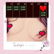 ヒメ日記 2025/02/22 07:16 投稿 あやせ 錦糸町人妻セレブリティ（ユメオト）