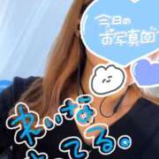 ヒメ日記 2025/02/18 17:26 投稿 れいな ちゃんこ幕張店