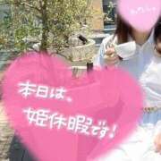 ヒメ日記 2025/02/20 12:00 投稿 れいな ちゃんこ幕張店