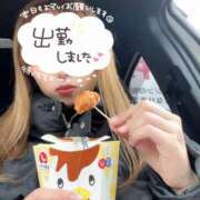 ヒメ日記 2025/03/19 12:04 投稿 れいな ちゃんこ幕張店