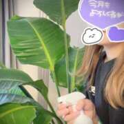 ヒメ日記 2025/03/31 06:15 投稿 れいな ちゃんこ幕張店