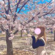 ヒメ日記 2025/04/11 21:00 投稿 れいな ちゃんこ幕張店