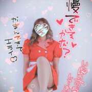 ヒメ日記 2025/04/21 12:01 投稿 れいな ちゃんこ幕張店